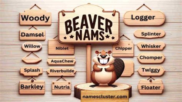 1540+ Beaver Names For Adorable Furry Companion! (+Generator)