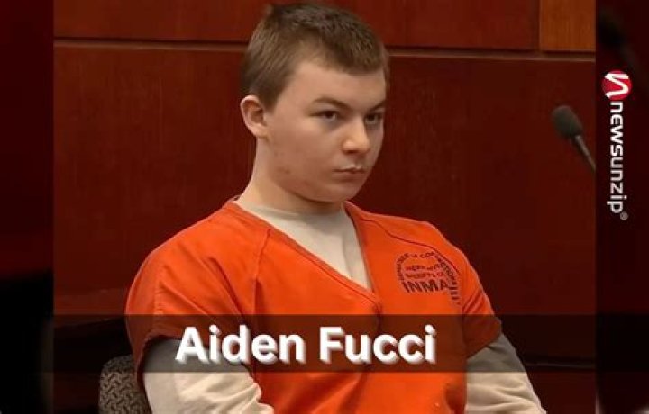 Aiden Fucci's &lsquo;spontaneous statements&rsquo; to be used against him in