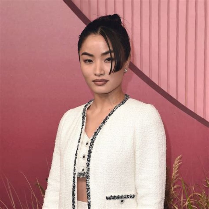 Anna Sawai Net Worth, Age, Bio, Height, Parents, Partner