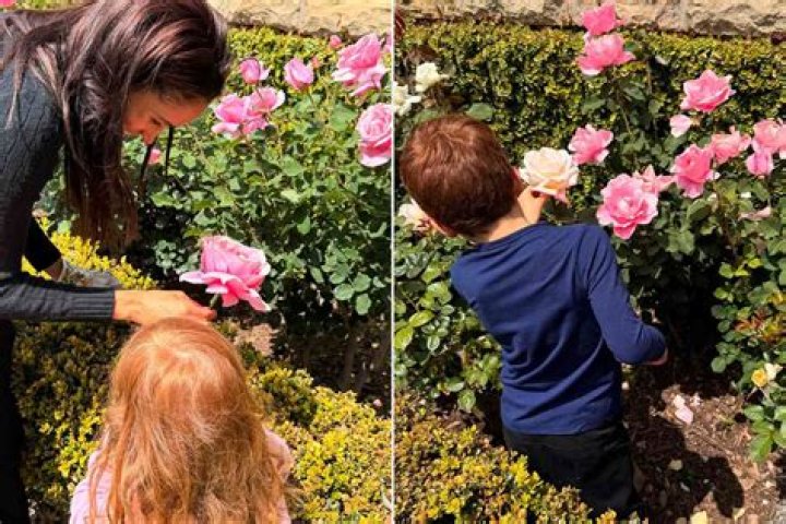 Archie & Lilibet Are 'Not Expected' to Receive Prince & Princess Titles