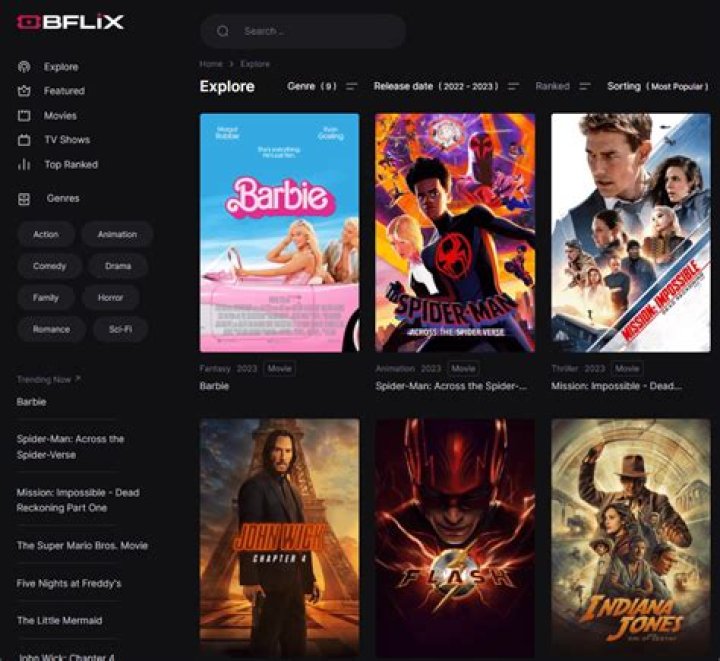 BFlix Website Overview and Its Best Alternatives