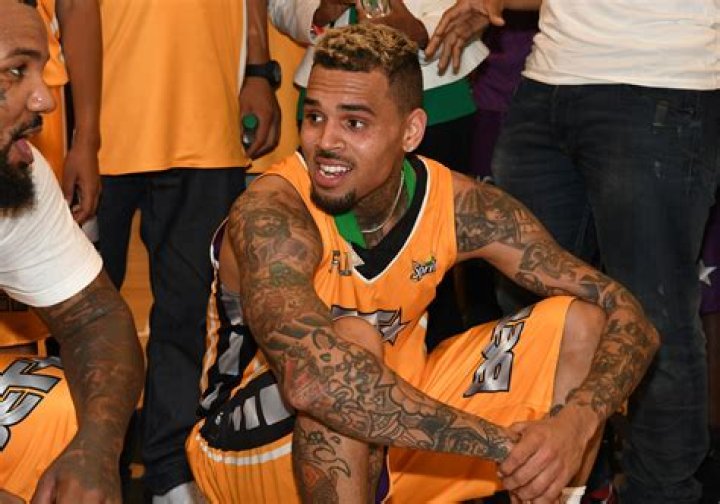 Chris Brown&rsquo;s pet monkey could land him in trouble Press Enterprise
