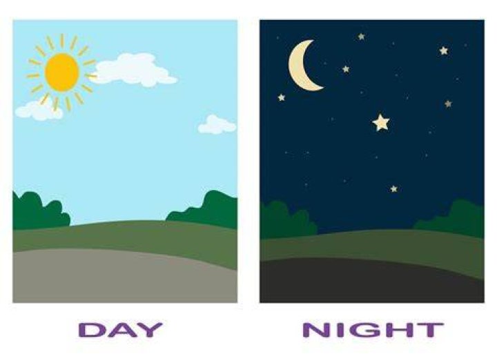 Day and Night