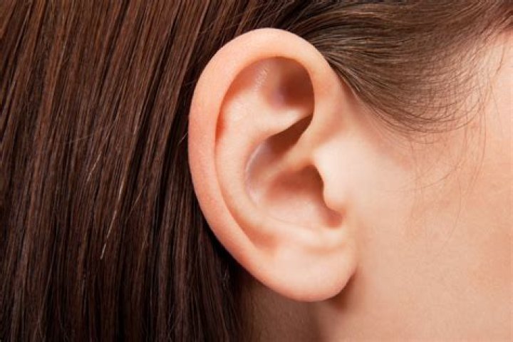 Ears Facts, Function & Disease Live Science