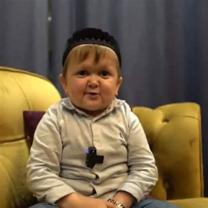 Hasbulla MelodyDevan