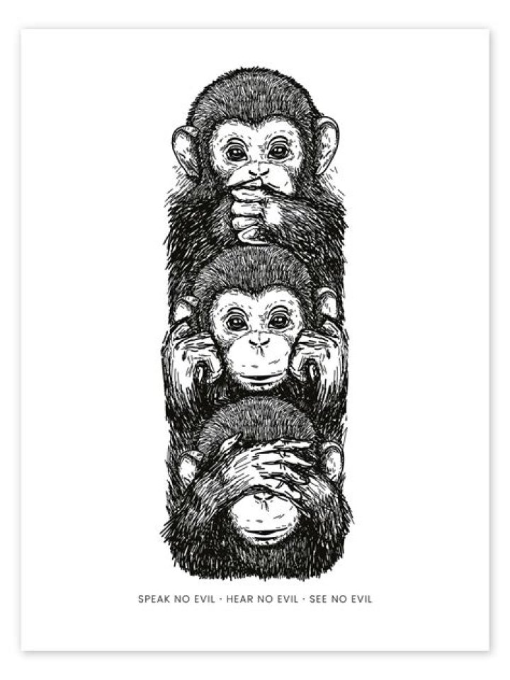 Hear No Evil, See No Evil, Speak No Evil Black and White Monkey Photo
