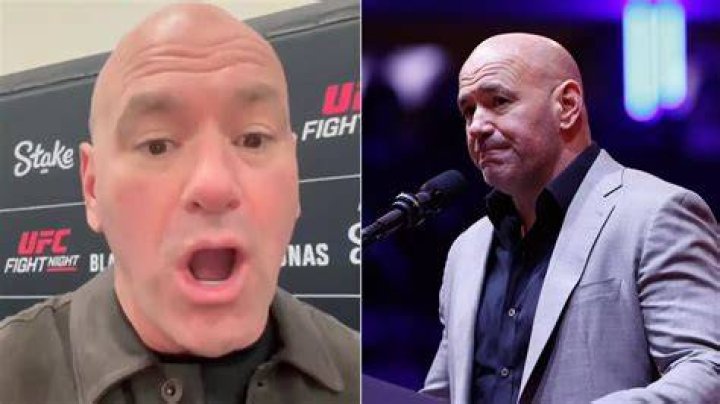 Hours after former UFC star provided Conor McGregor with unfiltered