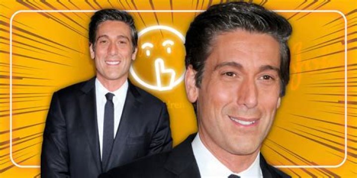 Is David Muir Gay? David and Rebecca Muir Wedding, Wife, Partner