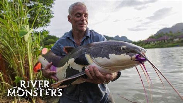Is Jeremy Wade Married: Unraveling The Personal Life Of The River Monsters Star