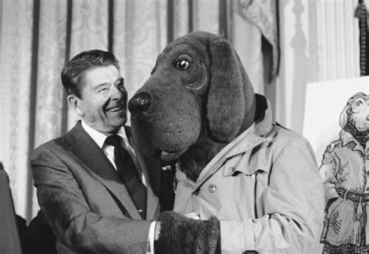 McGruff the Crime Dog Sentenced to 16 Years in Prison Weedist Cow