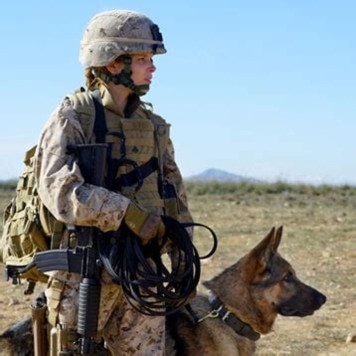 Megan Leavey Arlington Catholic Herald