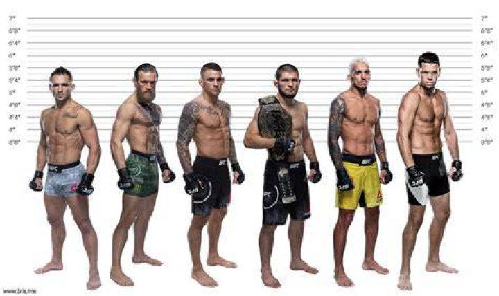 Nate Diaz Height Brie