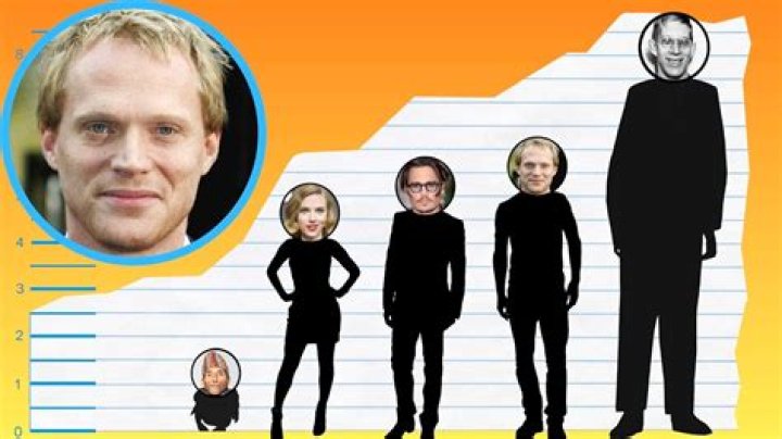 Paul Bettany Height, Weight, Body Measurements.