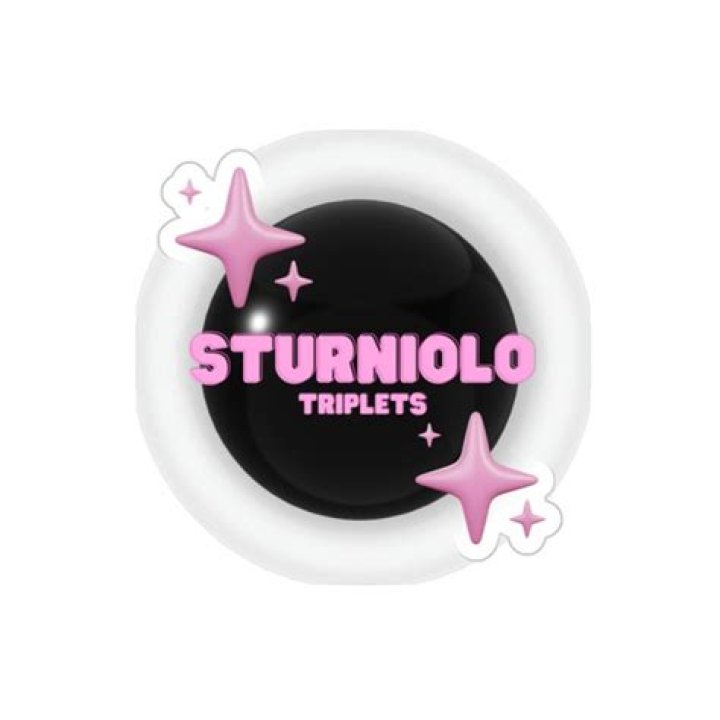The Sturniolo Triplets 12 Custom Hand Collaged Vinyl Record Etsy