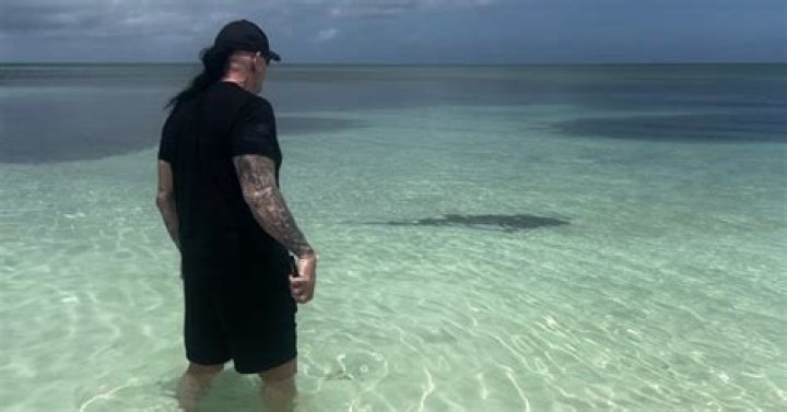 The Undertaker scares shark away while on vacation with Michelle McCool