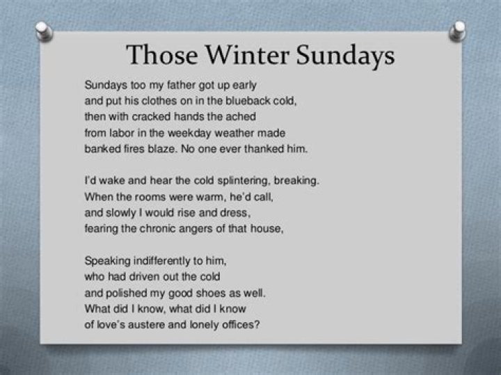 Those Winter Sundays Poem by Robert Hayden Poem Hunter Comments