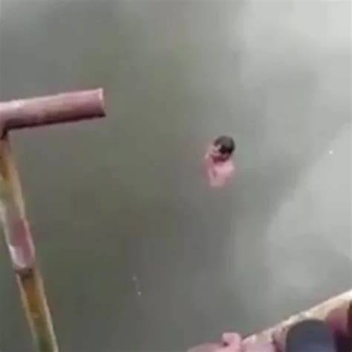 Video Shaman Dragged Underwater By Crocodiles