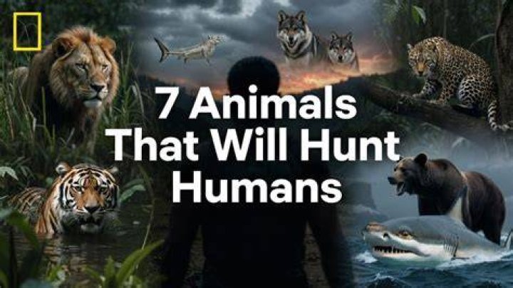 What Animals Hunt Humans? Defense & Preparation Survivalism