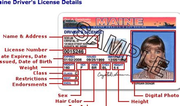 Where is driver license number located on colorado filmsfer