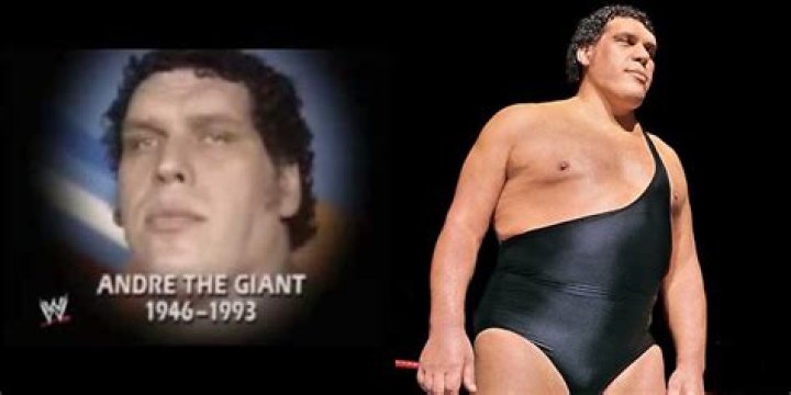 Who is André the Giant's daughter, Robin ChristensenRoussimoff