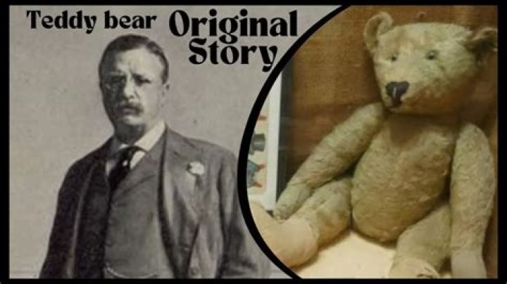 Why Are Teddy Bears Called Teddy ? (Mickey Wonders Why), Hobbies & Toys